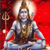 Shiva Homam