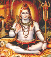 Aayu Vridhi Pooja