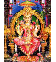 Shree Baglamukhi Yagna